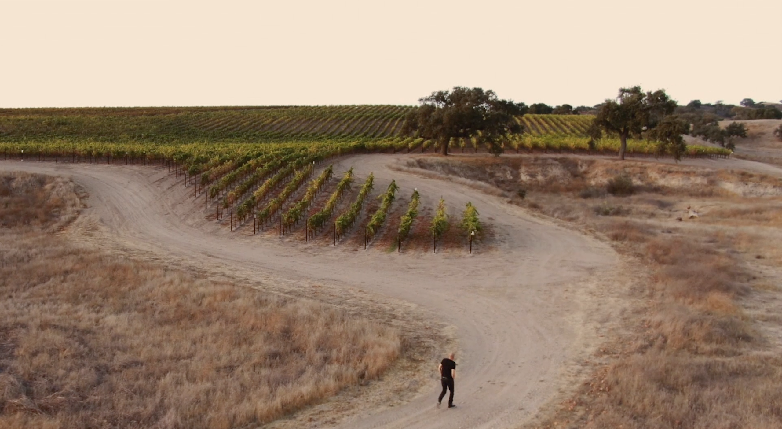 Greg Brewer walking in a vineyard